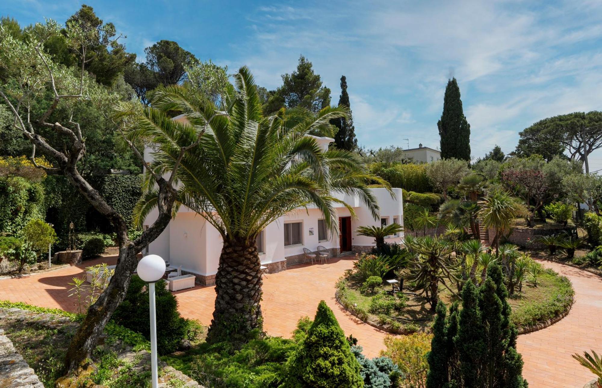 Villa Donna Carolina Capri Ανακάπρι Εξωτερικό φωτογραφία